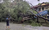Hình ảnh về sự tàn phá khủng khiếp của cơn bão số 3 ở Hà Nội
