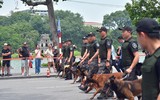 Cận cảnh cảnh sát đặc nhiệm hợp luyện đu dây, nhảy vòng lửa, trình diễn khí công thượng thừa bên hồ Gươm