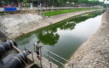 Cá bơi trên sông Tô Lịch sau khi được bổ cập nước hồ Tây