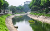 Cá bơi trên sông Tô Lịch sau khi được bổ cập nước hồ Tây