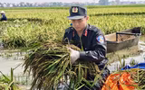 Hình ảnh ấm áp nghĩa tình của Công an Thủ đô trong một ngày dài sát cánh cùng nhân dân chống lũ