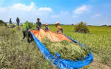 Chiến sỹ Công an Hà Nội tiếp tục dầm mình trong nước ngập, cùng dân cứu lúa 