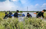 Chiến sỹ Công an Hà Nội tiếp tục dầm mình trong nước ngập, cùng dân cứu lúa 