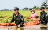 Chiến sỹ Công an Hà Nội tiếp tục dầm mình trong nước ngập, cùng dân cứu lúa 