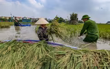 Chiến sỹ Công an Hà Nội tiếp tục dầm mình trong nước ngập, cùng dân cứu lúa 