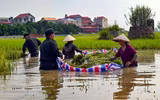 Chiến sỹ Công an Hà Nội tiếp tục dầm mình trong nước ngập, cùng dân cứu lúa 