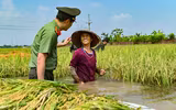 Chiến sỹ Công an Hà Nội tiếp tục dầm mình trong nước ngập, cùng dân cứu lúa 