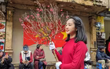 Dấu ấn Hà Nội - Thành phố vì hòa bình, luôn yên bình, mến khách