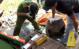 Cận cảnh khám xét, thu giữ số lượng lớn ma túy và súng giấu trong vườn 