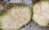 Hiện trường vụ hàng nghìn quả sầu riêng non của nông dân bị chặt phá