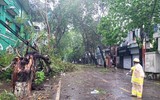 Gió giật mạnh, hàng loạt cây xanh tại các tỉnh, thành phố bị đổ