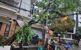 Hà Nội: Cơn mưa giông lớn quật đổ cây xanh, cuốn phăng nhiều mái tôn