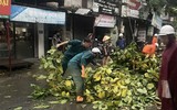 Hà Nội: Cơn mưa giông lớn quật đổ cây xanh, cuốn phăng nhiều mái tôn