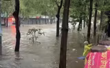 Hà Nội: Hàng loạt tuyến phố ngập sâu do mưa lớn