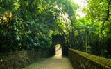 Khám phá vẻ đẹp hoài cổ của chùa Bổ Đà