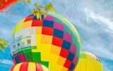 Đến Ba Vì ngắm hoa dã quỳ trên khinh khí cầu