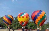 Đến Ba Vì ngắm hoa dã quỳ trên khinh khí cầu