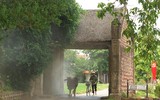 Khung cảnh làng quê đẹp thơ mộng ở Đường Lâm