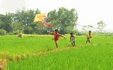 Khung cảnh làng quê đẹp thơ mộng ở Đường Lâm