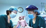 Hình ảnh Việt Nam chống Covid-19 trên màn hình Quảng trường Thời đại ở Mỹ