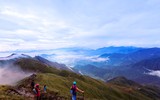 Ngắm hoa Chi Pâu ở thiên đường mây Tà Chì Nhù 