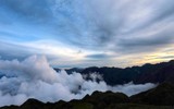Ngắm hoa Chi Pâu ở thiên đường mây Tà Chì Nhù 