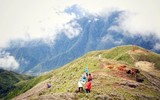 Ngắm hoa Chi Pâu ở thiên đường mây Tà Chì Nhù 