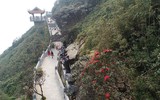 Mùa xuân lên đỉnh Fansipan 