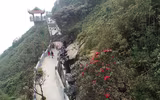 Mùa xuân lên đỉnh Fansipan 