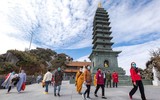 Mùa xuân lên đỉnh Fansipan 