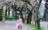 Mùa hoa ban khoe sắc 
