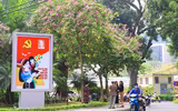 Mùa hoa ban khoe sắc 