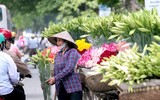 Tháng tư về, hoa loa kèn tinh khôi xuống phố