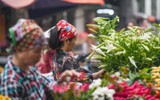 Tháng tư về, hoa loa kèn tinh khôi xuống phố