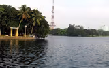 Những “lá phổi