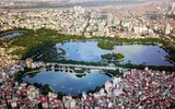 Những “lá phổi