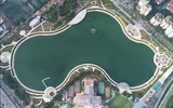 Những “lá phổi
