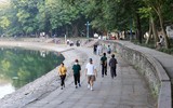 Những “lá phổi