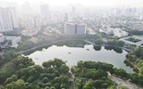 Những “lá phổi
