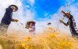Bức tranh thiên nhiên tuyệt đẹp nơi cửa biển 