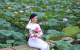 Thanh tao mùa sen đầu hạ