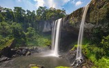 Khám phá “nàng tiên” của rừng thiêng 
