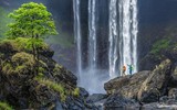 Khám phá “nàng tiên” của rừng thiêng 
