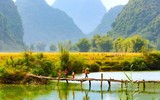 Mùa vàng Phong Nậm 