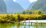 Mùa vàng Phong Nậm 
