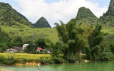 Mùa vàng Phong Nậm 