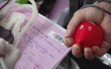 Giọt máu nghĩa tình của Công an Thủ đô