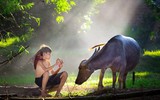 Nét quê qua những tác phẩm ảnh 