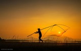 Nét quê qua những tác phẩm ảnh 