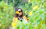 Đến Tản Viên sơn ngắm hoa báo đông